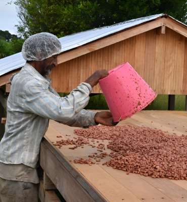 Cooperando Sustentável