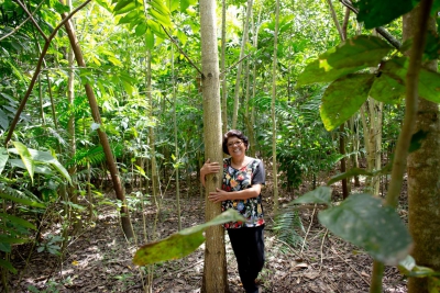 Sistema Miyawaki de Restauração de Ecossistemas na Amazônia