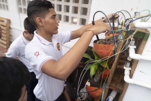 Atlantic Waves Program for Initial Generation of Scientific Vocations