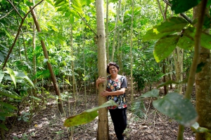 Miyawaki Amazon Ecosystem Restoration System