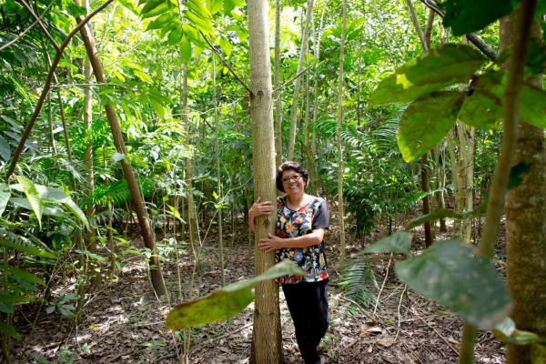 Miyawaki Amazon Ecosystem Restoration System