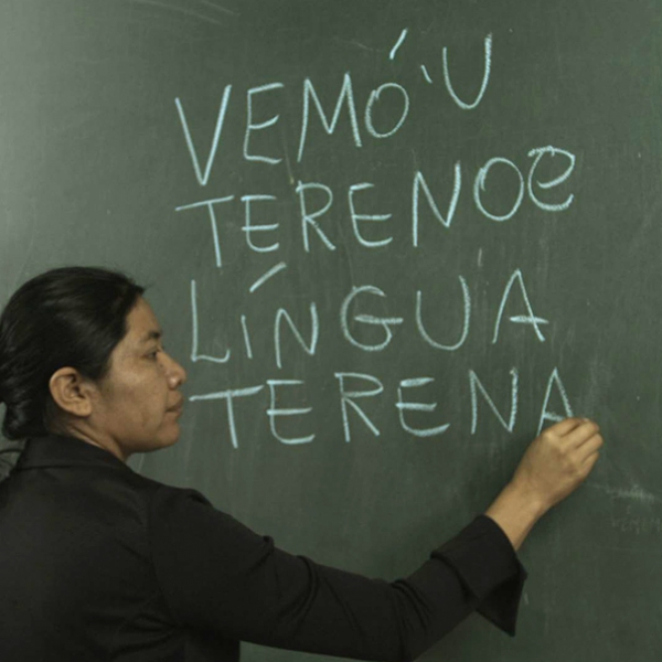 2019, o Ano Internacional das Línguas Indígenas