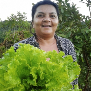 Rede em Pernambuco promove a valorização de produtos orgânicos e agroecológicos
