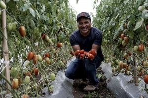 Public Purchases in Maya-Ch&#039;orti Indigenous Territories