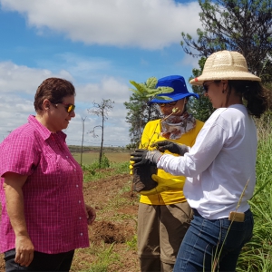 Bacia do Pipiripau recebe mudas nativas do cerrado em dia de plantio com doadores