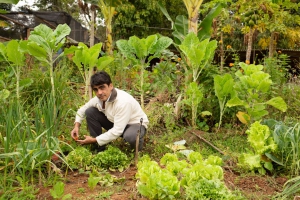 Social Technologies and Natural Sciences Training of Rural Educators