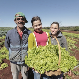 Plano Nacional de Agroecologia brasileiro é premiado pela ONU