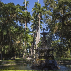 Jardim Botânico do Rio comemora 210 anos com inovações para os visitantes