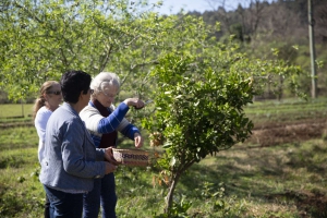 Pitanga Rosa: Agroecology, Health and Quality of Life