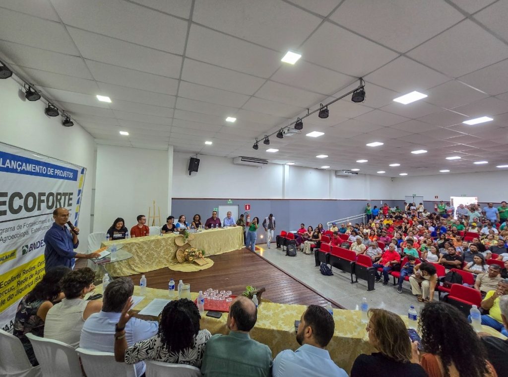 Ecoforte Uaua Dir Gilson 3