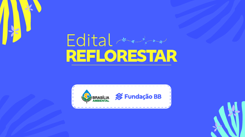 Fundação Banco do Brasil lança Edital Reflorestar 2026